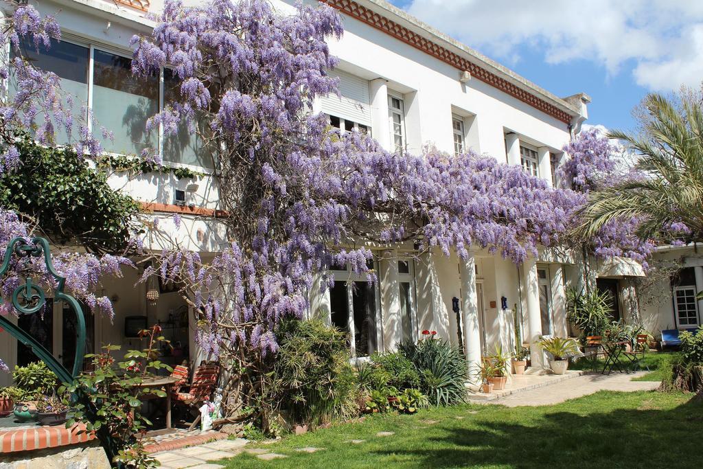 Domaine Saint Nicolas Bed and Breakfast Perpignan Exteriör bild